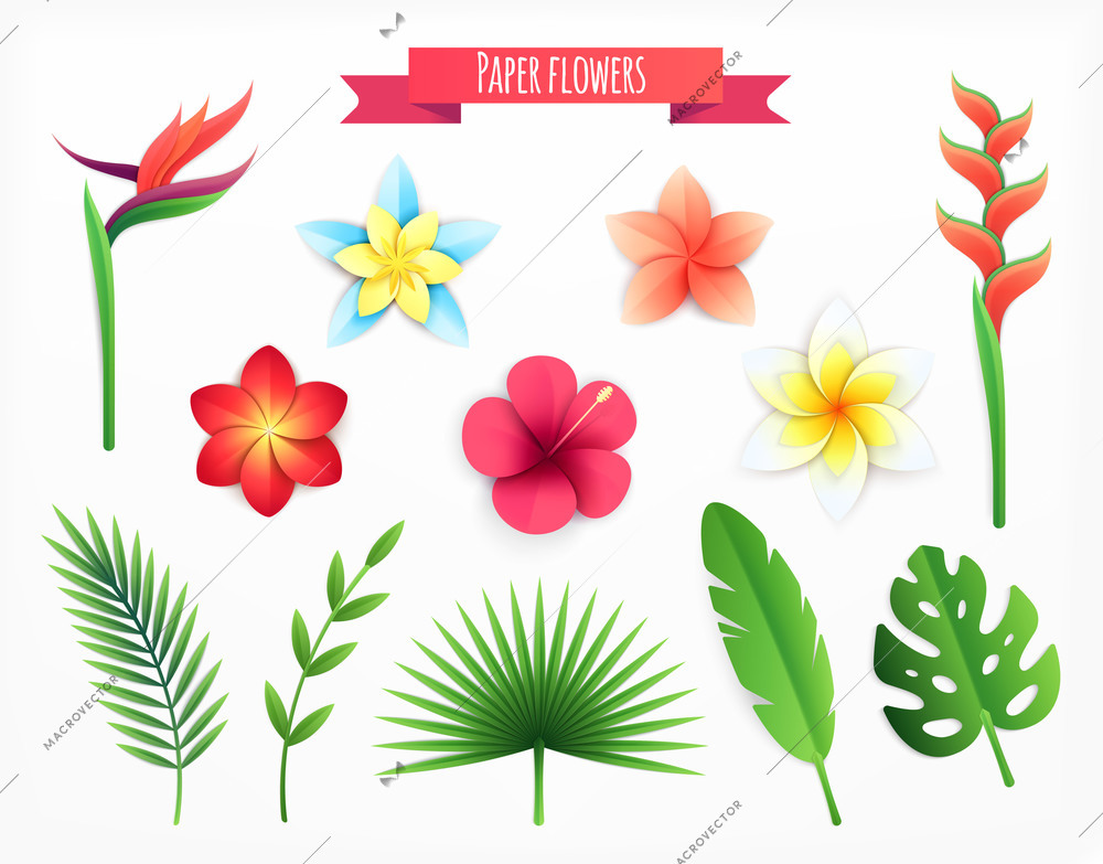 Paper tropical leaves flowers set with isolated icons and decorative images of blossoms on blank background vector illustration