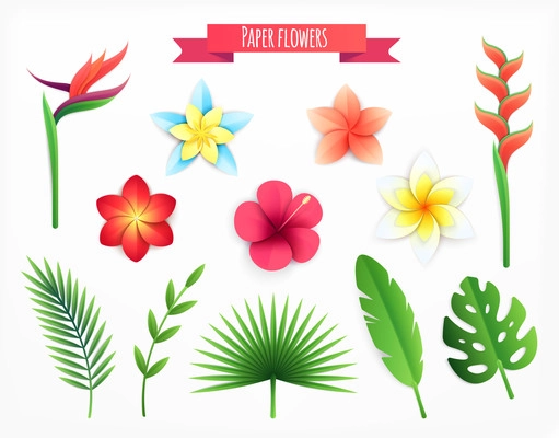 Paper tropical leaves flowers set with isolated icons and decorative images of blossoms on blank background vector illustration