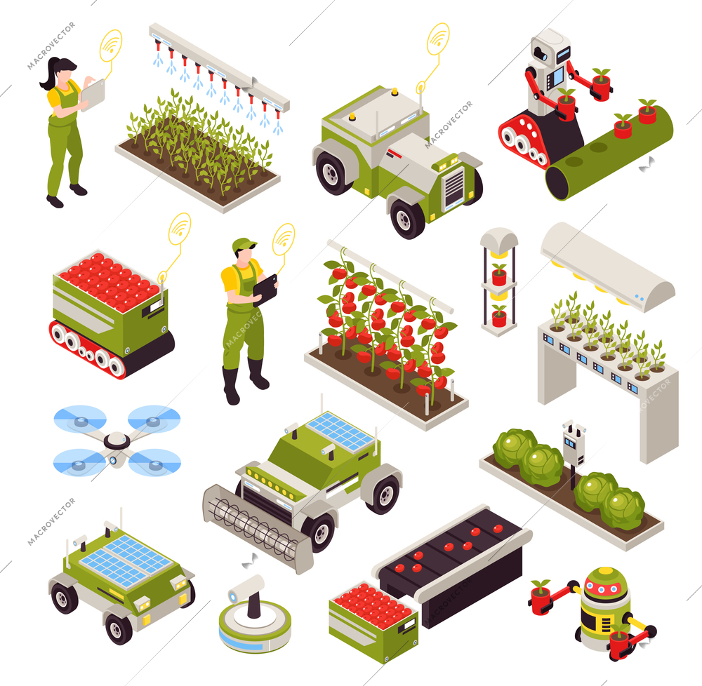 Isometric smart farm set with isolated icons of vegetable plants and automated machines with human operators vector illustration