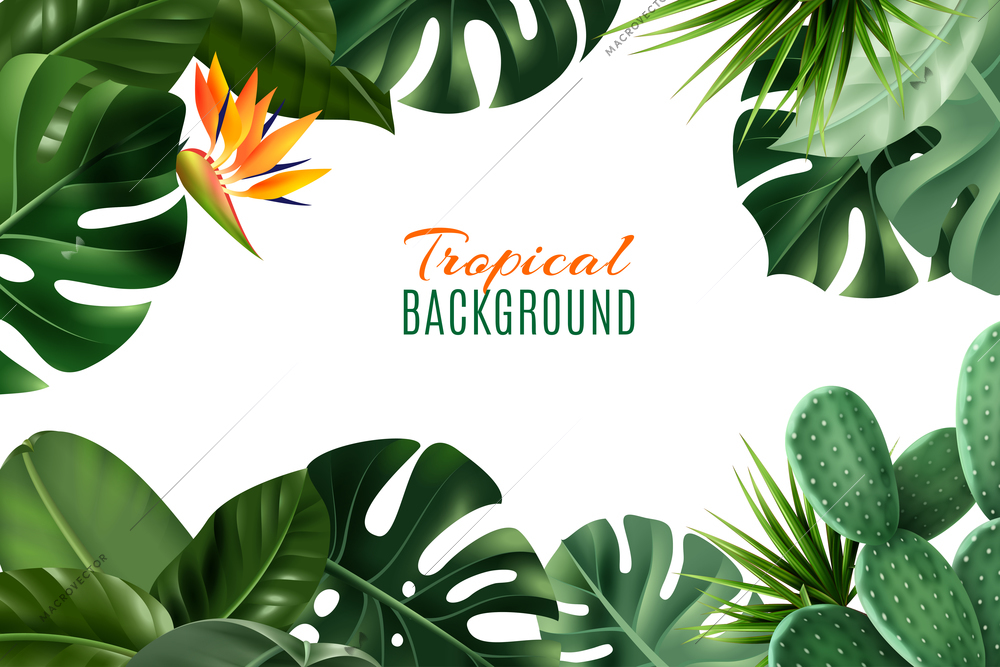 White Tropical background with frame consisting of houseplant leaves and flowers realistic vector illustration