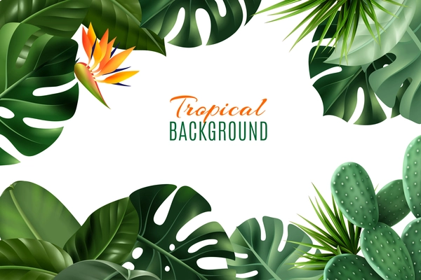 White Tropical background with frame consisting of houseplant leaves and flowers realistic vector illustration