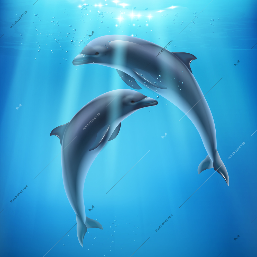 Dolphin in sea realistic and colored composition two dolphins swim underwater and sun ryes break through water vector illustration