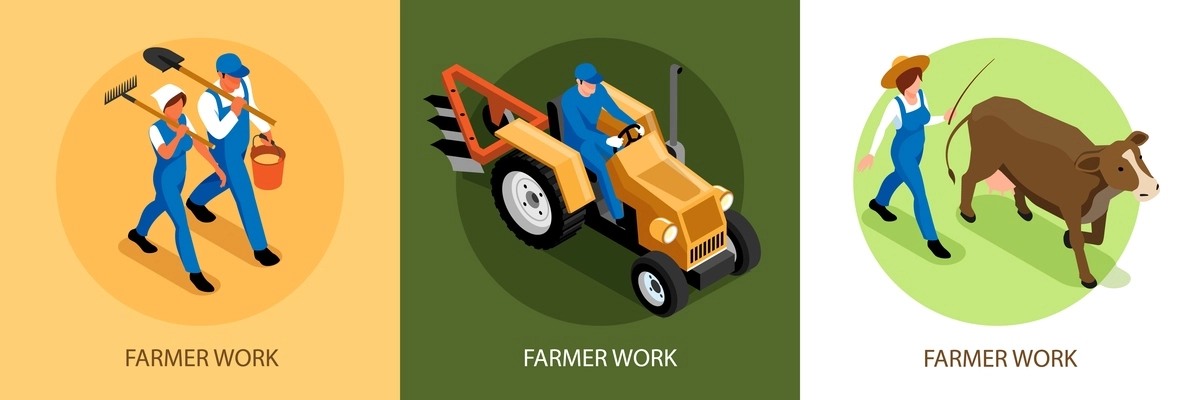 Isometric farming design concept with three square compositions of farmers at work with agrimotor and cow vector illustration