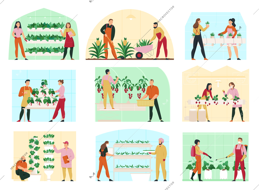 Agriculture flat composition set with men and women looking after greenhouse plants isolated vector illustration