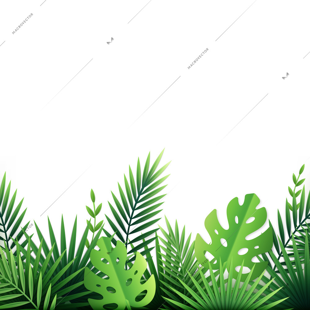 Paper tropical leaves flowers composition with empty background and images of exotic plants and tropic bushes vector illustration