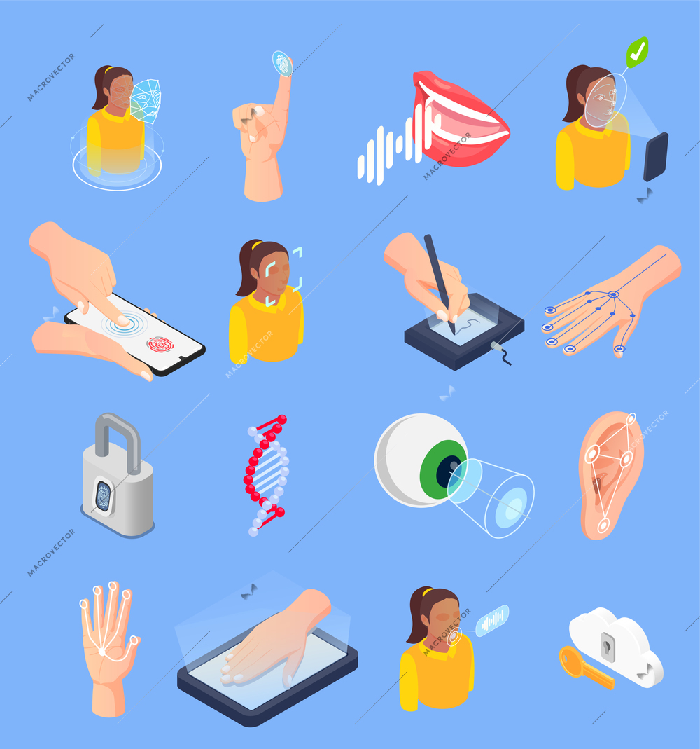 Isometric set of icons with various ways of biometric recognition using face voice fingerprint digital signature veins matching isolated vector illustration