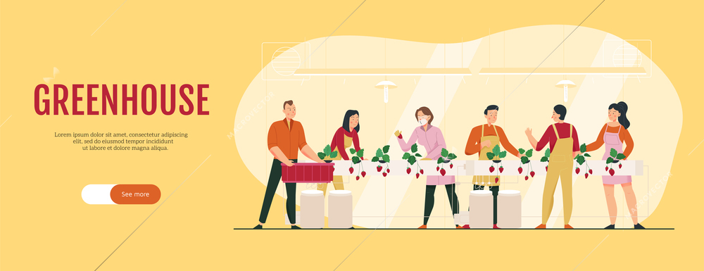Flat horizontal banner with human characters growing strawberries in greenhouse vector illustration