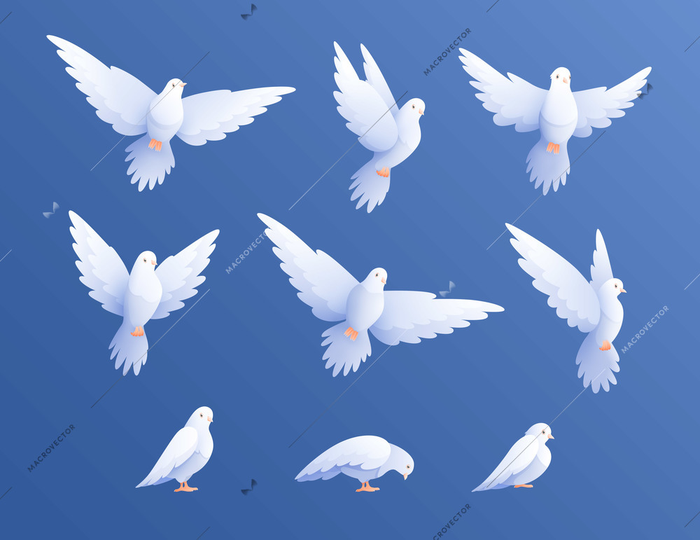 White pigeons doves set with isolated flat images of birds wings on blue sky gradient background vector illustration