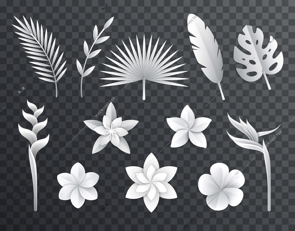 White paper tropical leaves and flowers icon set on transparent background with paper crafting materials images vector illustration