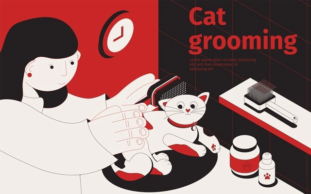 Car grooming isometric background with female human character touching cartoon cat with combs and editable text vector illustration