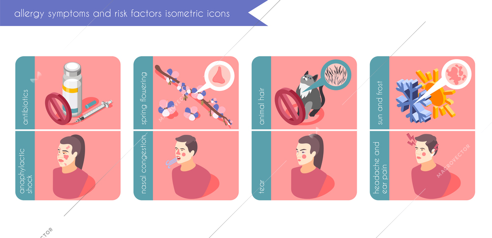 Allergy symptoms banners set with risk factors symbols isometric isolated vector illustration