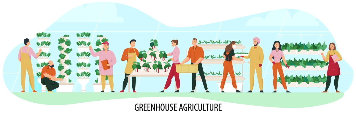 Agriculture composition with people cultivating greenhouse plants flat vector illustration