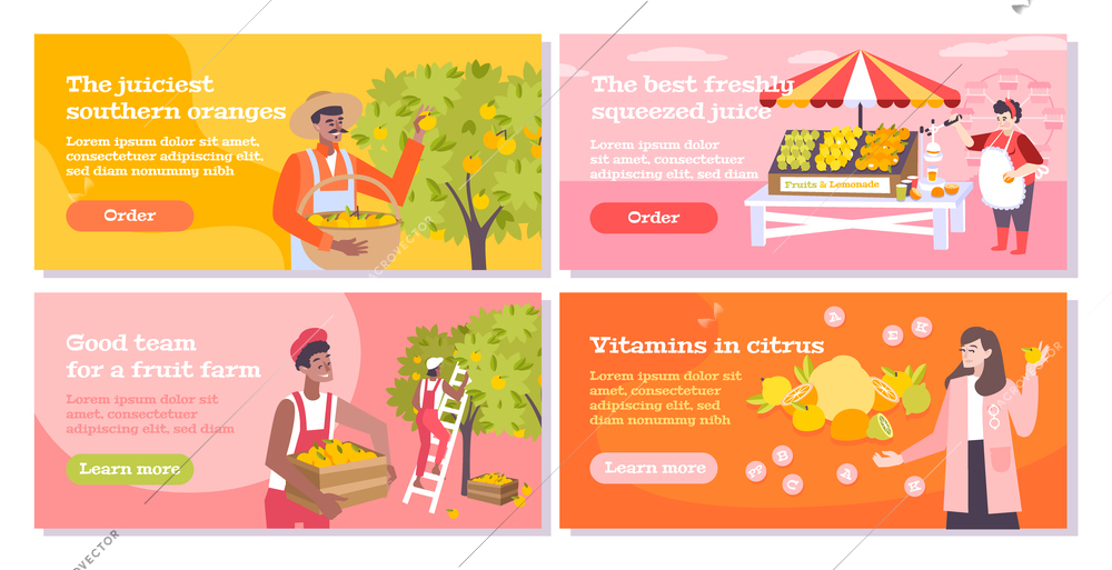 Citrus flat banners set with people collecting oranges on southern  farm sellers and buyers of fruits and juice vector illustration