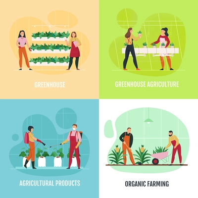 Flat 2x2 icons set with people planting and watering vegetables fruit flowers in greenhouse isolated vector illustration