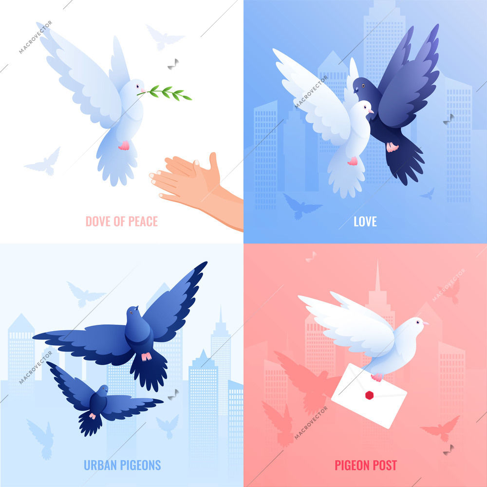 Pigeons flat 2x2 design concept with set of square compositions with dove of peace and post vector illustration