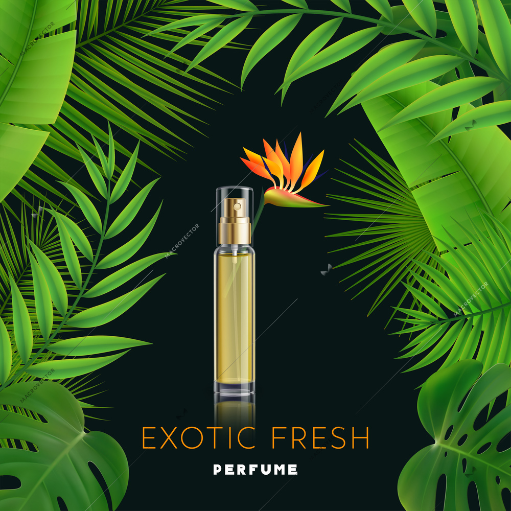 Fresh exotic perfume bottle on dark background with big green leaves realistic advertisement vector illustration