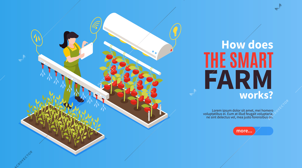 Isometric smart farm horizontal banner with more button text and automatic flower beds with human operator vector illustration