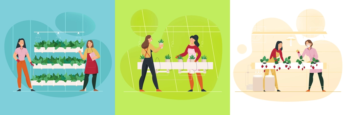 People growing vegetables and berries in greenhouse flat design concept isolated vector illustration