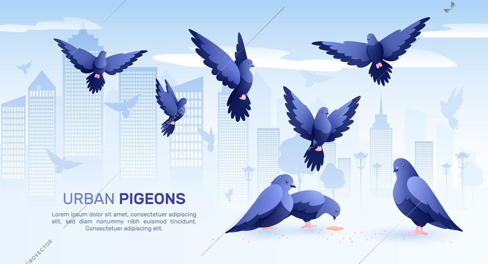 Pigeons flat composition with cityscape background silhouettes of birds and editable text with images of pigeons vector illustration