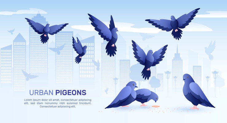 Pigeons flat composition with cityscape background silhouettes of birds and editable text with images of pigeons vector illustration