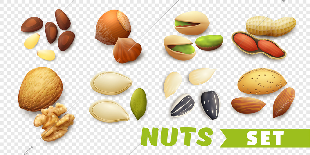 Realistic nuts set with walnut seeds pistachio almond peanut isolated on transparent background vector illustration