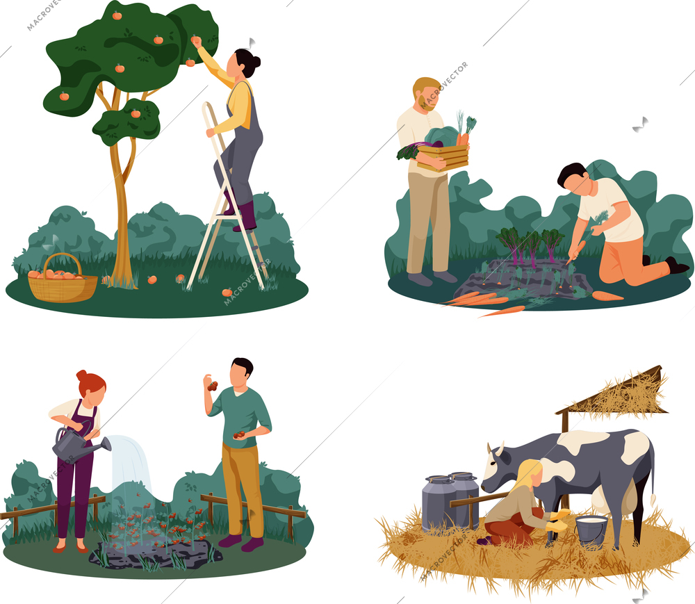 Organic farm 4x1 set of compositions with flat images of gardeners with trees plants and fruits vector illustration