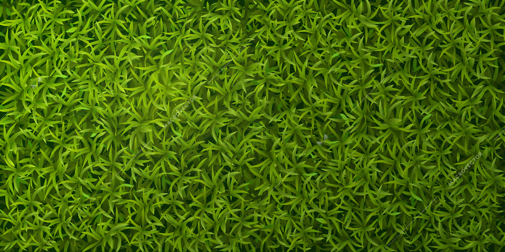 Green grass realistic top view spring lawn ground cover natural seamless pattern banner background vector illustration