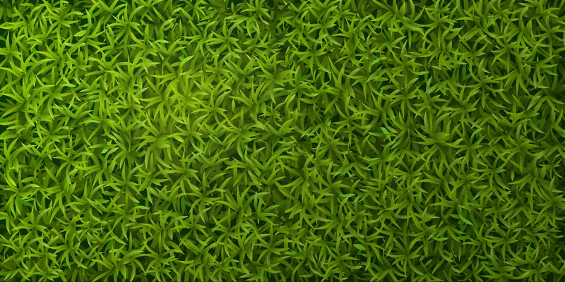 Green grass realistic top view spring lawn ground cover natural seamless pattern banner background vector illustration