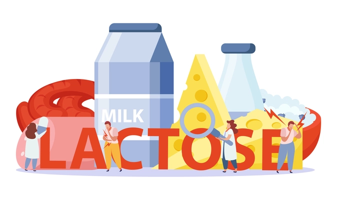 Lactose and gluten intolerance concept with dairy products symbols flat vector illustration