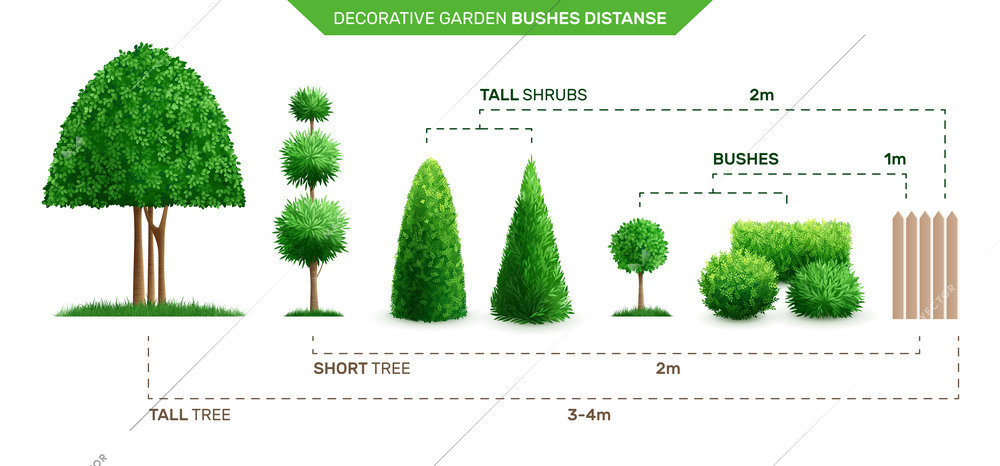 Decorative garden bushes distance composition distance of tall tree with short and bushes vector illustration