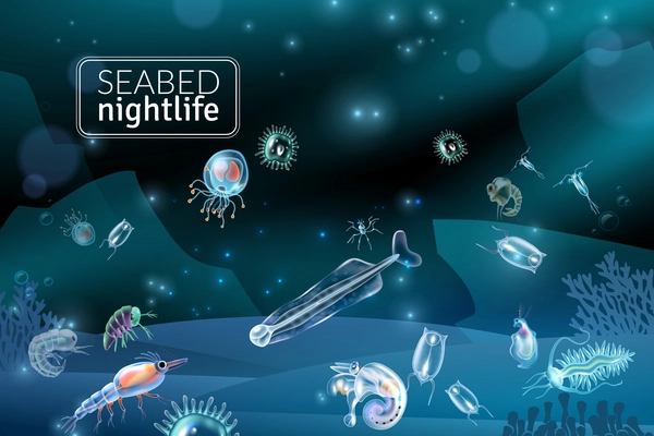 Seabed nightlife underwater scene with reef seaweed coral and plankton characters cartoon vector illustration