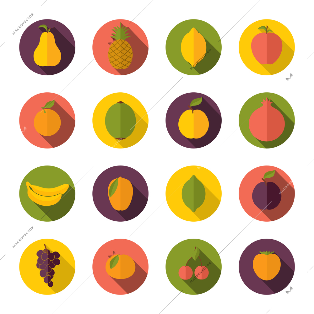 Set of pear apple plum grape fruits icons on circles in flat style vector illustration