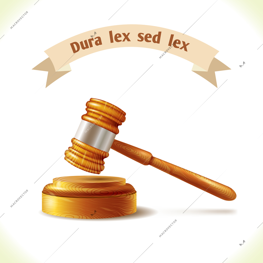 Law icon judge gavel isolated on white background vector illustration