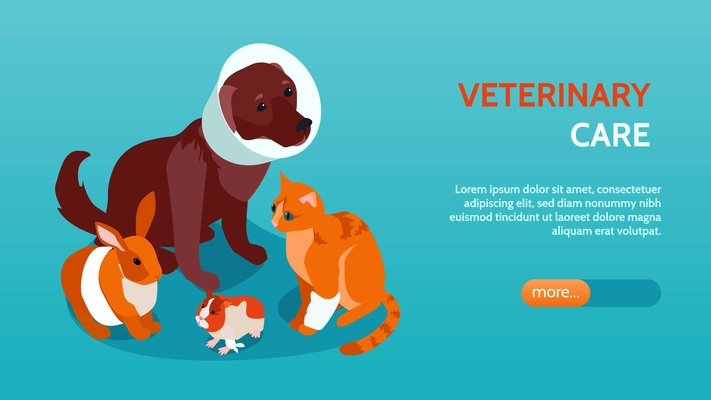 Horizontal and isometric veterinary banner with different pets headline and more button vector illustration