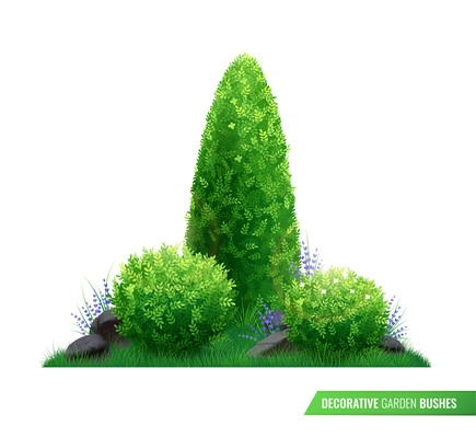 Decorative garden bushes realistic composition with green leaves different sizes and heights vector illustration