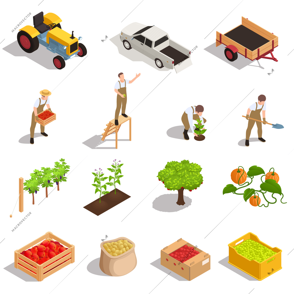 Farm harvesting production machinery workers isometric set with tractor trailer pumpkin sack potato crate tomato vector illustration