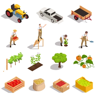 Farm harvesting production machinery workers isometric set with tractor trailer pumpkin sack potato crate tomato vector illustration