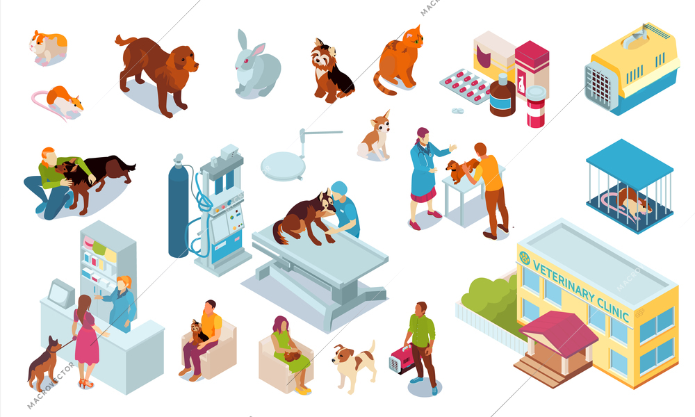 Isometric veterinary color icon set with reception of clinic building pets veterinarian petl carrier cage medication vector illustration