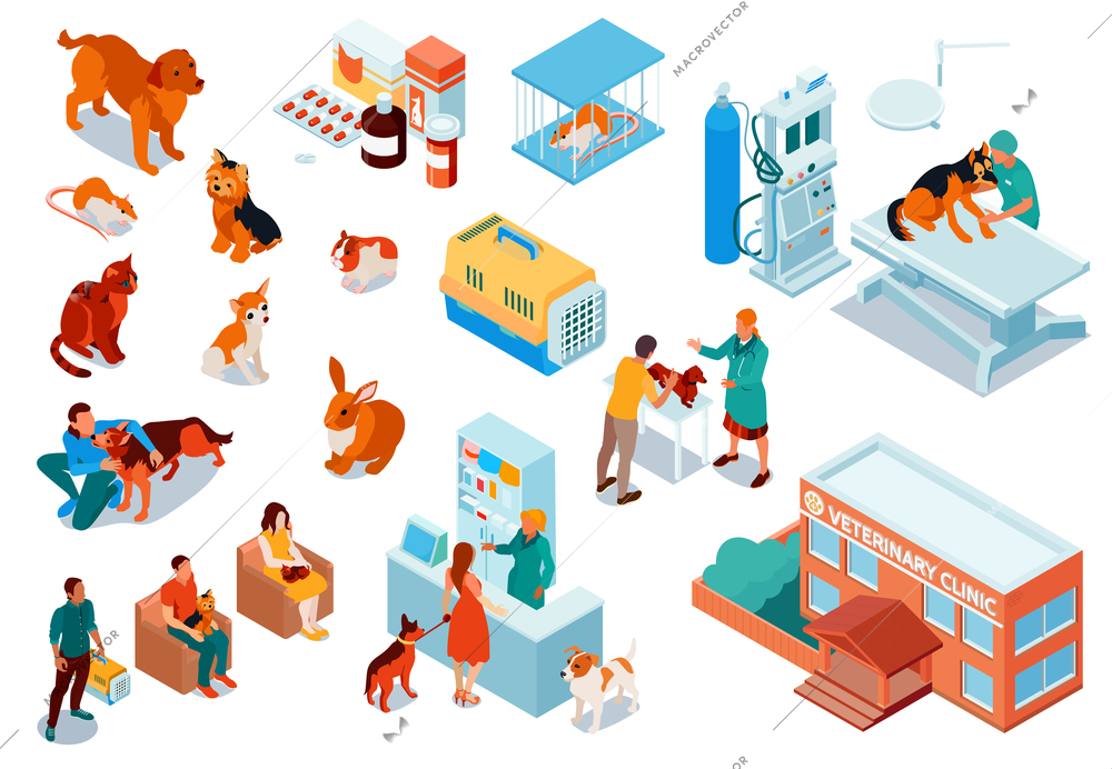 Isometric veterinary icon set with pets dogs cats rats drugs for pets veterinary clinic building vector illustration