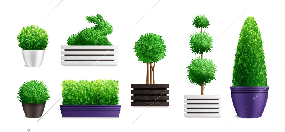 Decorative garden bushes in pots icon set with different pots styles and sizes of bushes vector illustration