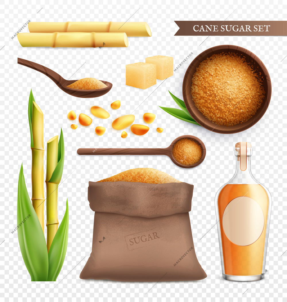 Cane sugar realistic transparent icon set with cane product golden rum and brown sugar par example vector illustration