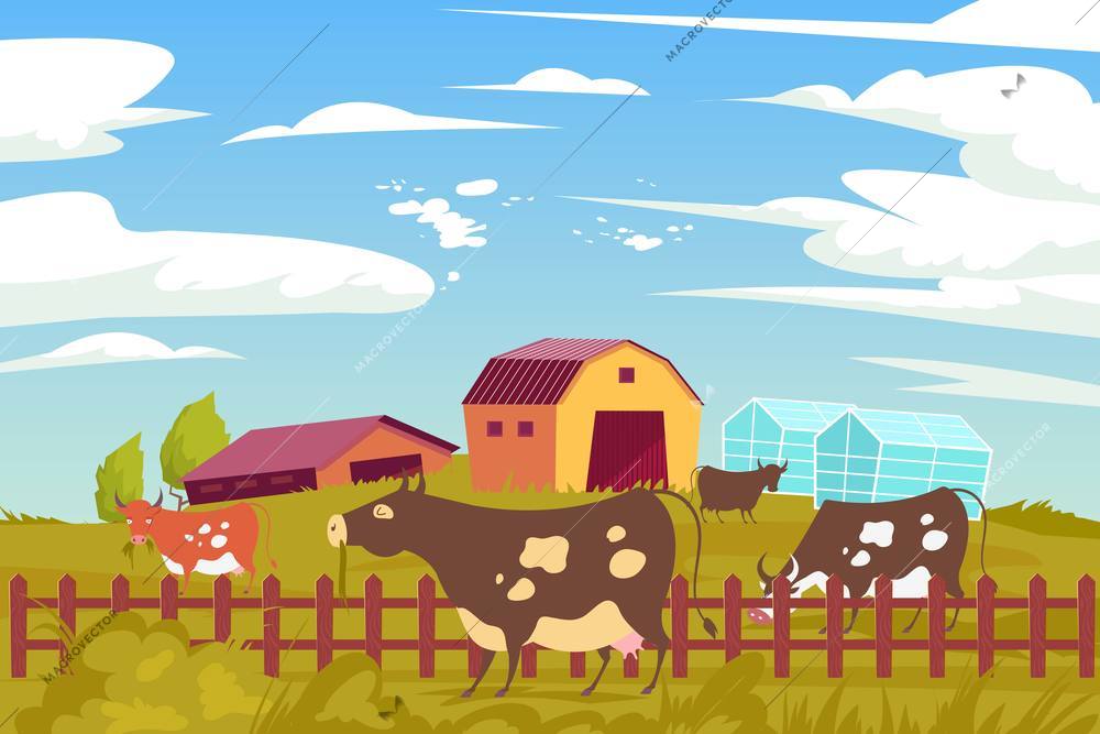 Eco farm cow flat composition with outdoor scenery and peaceful grazing animals with farm buildings hothouses vector illustration