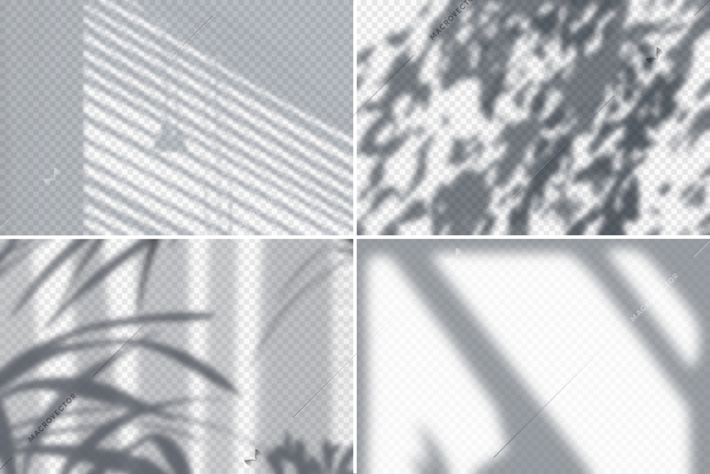 Shadow of foliage and blinds on white wall realistic set isolated vector illustration