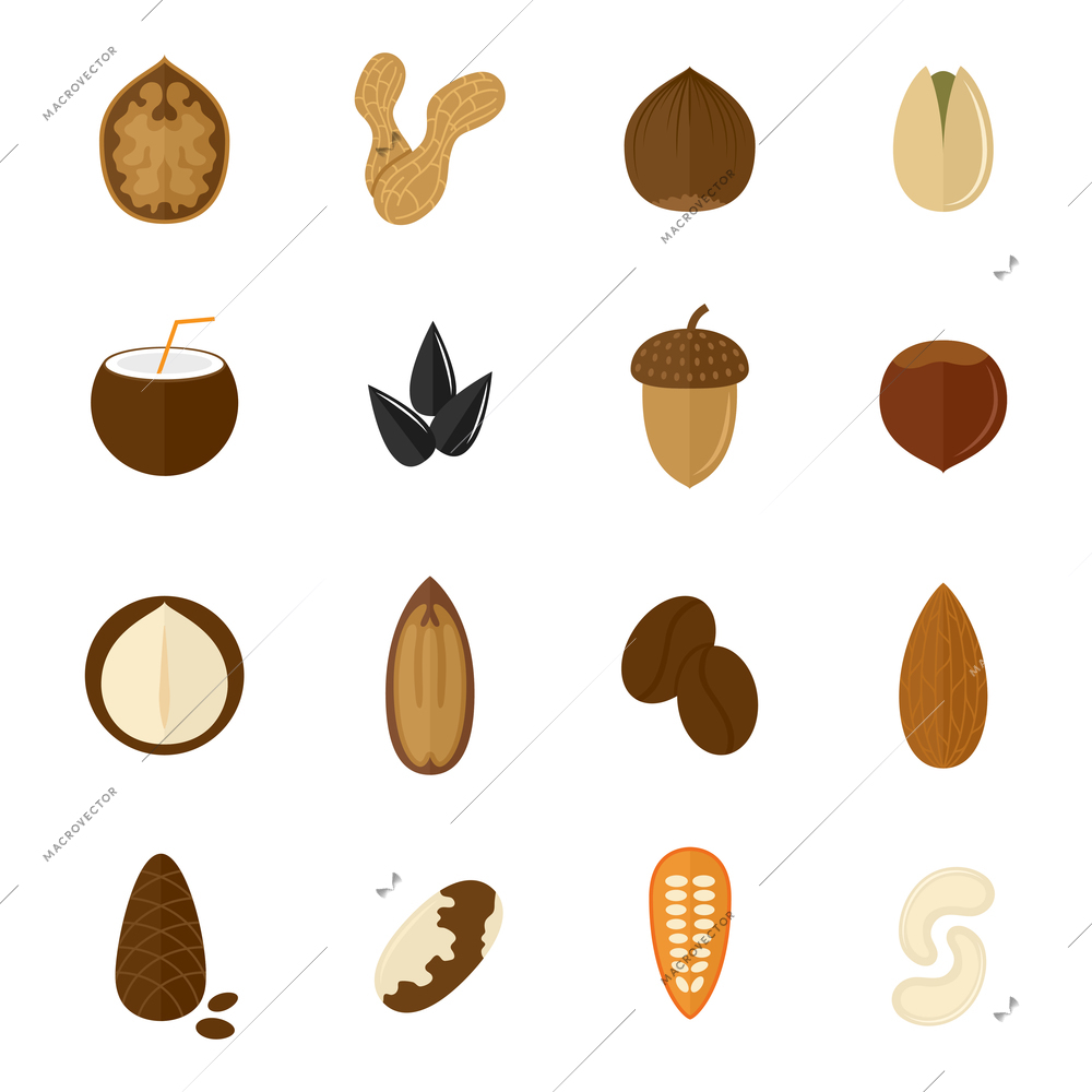 Set of almond hazelnut coconut sunflower seeds and nuts in flat style vector illustration