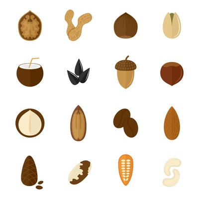 Set of almond hazelnut coconut sunflower seeds and nuts in flat style vector illustration