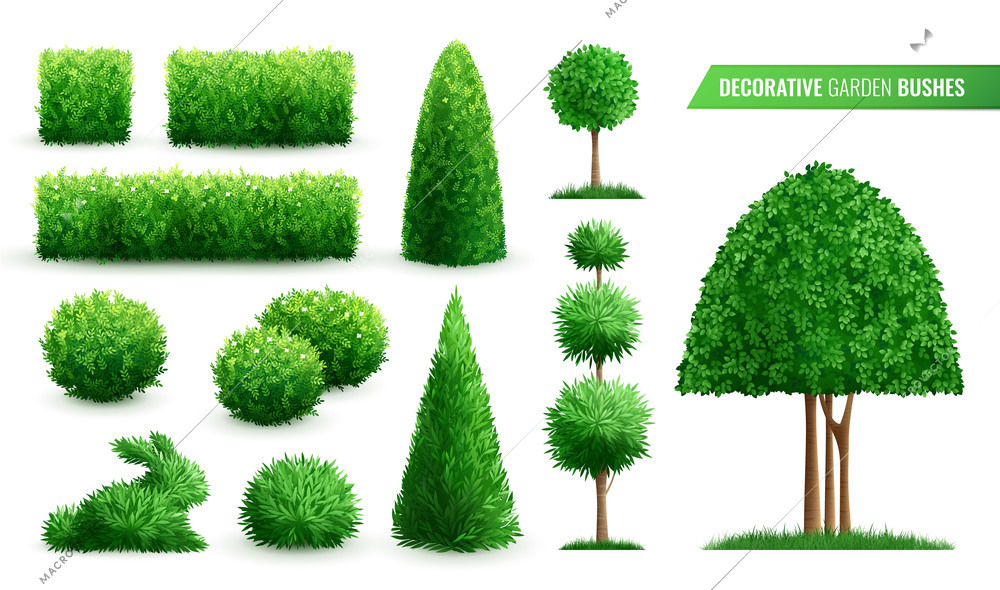 Decorative garden bushes realistic icon set with different shapes styles and types vector illustration