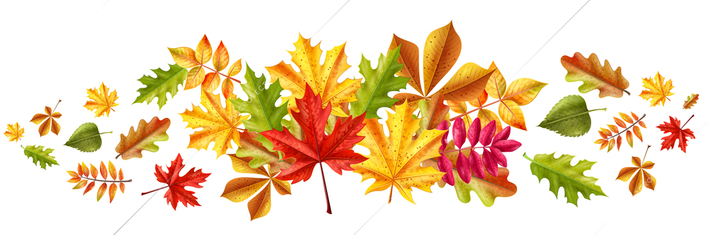 Realistic fall sale horizontal composition with bunch of colourful faded autumnal leaves images on blank background vector illustration