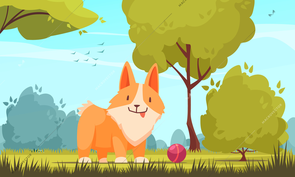 Pets growth stages with outdoor park landscape trees and ball on grass with character of puppy vector illustration