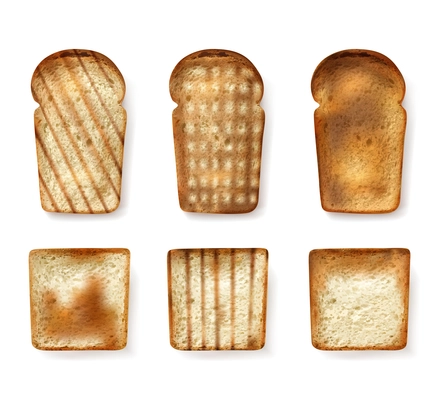 Different bread types set with toast realistic isolated vector illustration