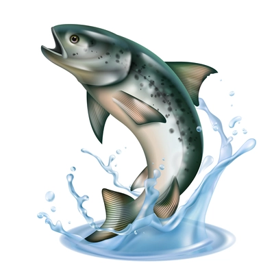 Fish jumping out of water with splashes realistic concept isolated on white background vector illustration